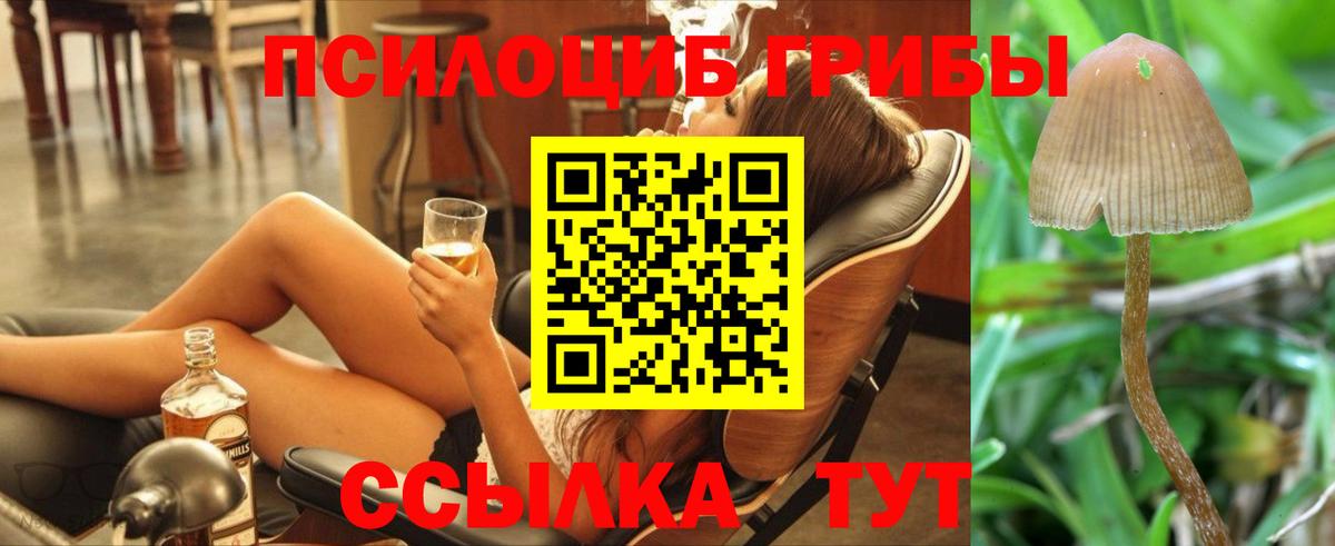 Галлюциногенные грибы Psilocybine cubensis Ухта